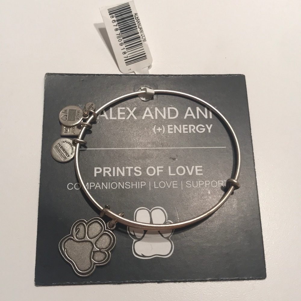 Alex and Ani Prints Of Love charm bracelet silver